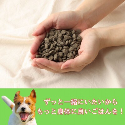 おさかな華 500g　薄型タイプ(ナチュラルドッグフード)