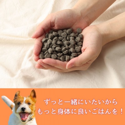 ファインベニソン華 500g(ナチュラルドッグフード)