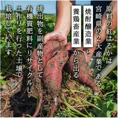 【さとふる限定】宮崎県高鍋産　ほしいも(紅はるか)　750g(150g×5袋)