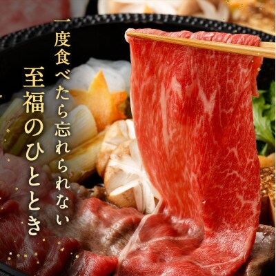 宮崎牛肩(ウデ)スライス 計500g