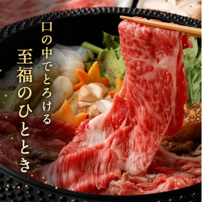 宮崎牛 肩ローススライス 計約800g