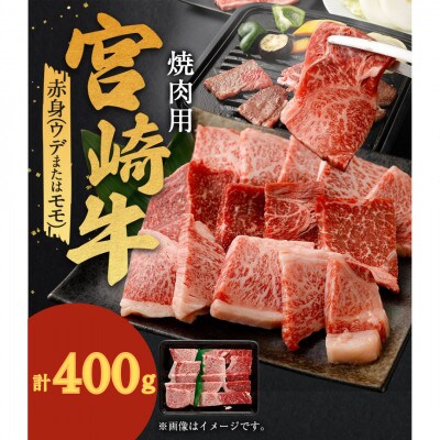 宮崎牛 赤身焼肉 計400g