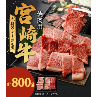 宮崎牛 赤身焼肉 計800g