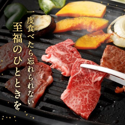 宮崎牛 赤身焼肉 計800g