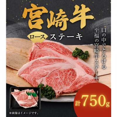 宮崎牛ロースステーキ 計750g