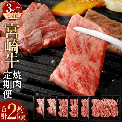 【毎月定期便】宮崎牛焼肉定期便全3回