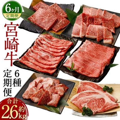 【毎月定期便】宮崎牛定期便 約2.6kg全6回