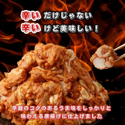 宮崎辛麺「輪」監修 こくうま唐揚げ 3kg