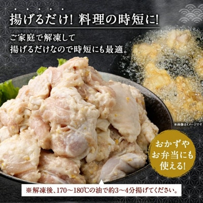 柚子胡椒唐揚げセット 約1.5kg(約300g×5パック)