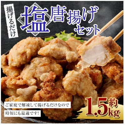 塩唐揚げセット 約1.5kg(約300g×5パック)