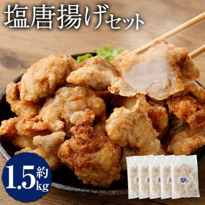 塩唐揚げセット 約1.5kg(約300g×5パック)