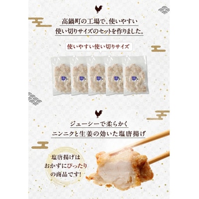 塩唐揚げセット 約1.5kg(約300g×5パック)