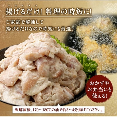 塩唐揚げセット 約1.5kg(約300g×5パック)