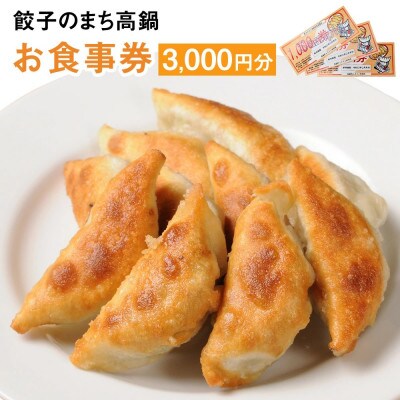 餃子のまち高鍋 お食事券(1000円×3枚)