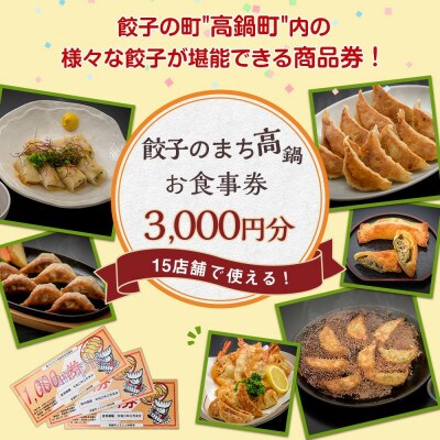 餃子のまち高鍋 お食事券(1000円×3枚)