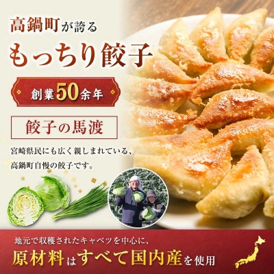 【人気コラボ!】馬渡 餃子 30個+一本気 若鶏もも炭火焼 300g