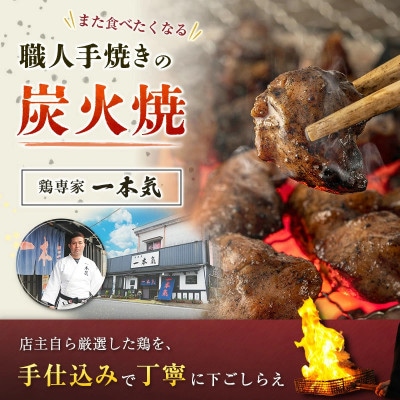 【人気コラボ!】馬渡 餃子 30個+一本気 若鶏もも炭火焼 300g