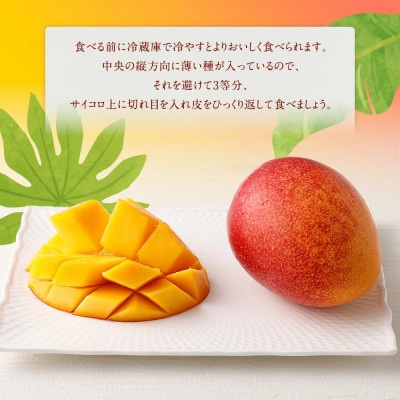 宮崎県 完熟マンゴー【2L×2玉 約700g】
