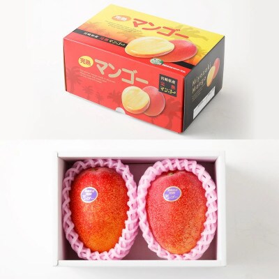 宮崎県 完熟マンゴー【2L×2玉 約700g】
