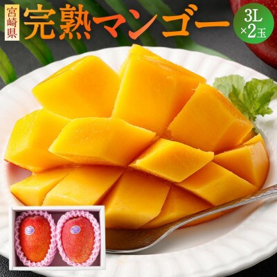 宮崎県 完熟マンゴー【3L×2玉 約900g】