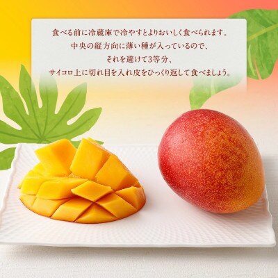 宮崎県 完熟マンゴー【3L×2玉 約900g】