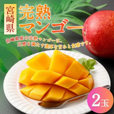 宮崎県 完熟マンゴー【4L×2玉 約1kg】