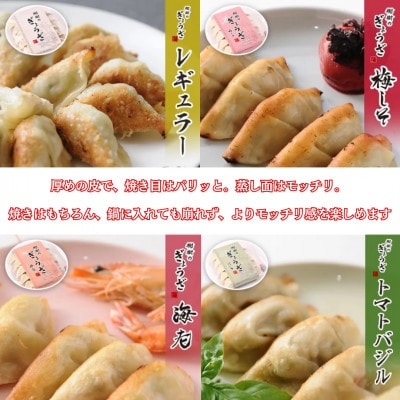 樹樹の餃子4種のモリモリセット計100個