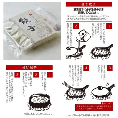樹樹の餃子4種のモリモリセット計100個