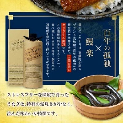 土用丑の日!国産 うなぎ(国産 鰻) 3尾 計約330g(高鍋町)