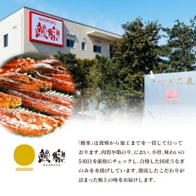 土用丑の日!国産 うなぎ(国産 鰻) 3尾 計約330g(高鍋町)