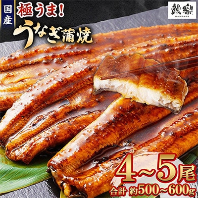 国産うなぎ(国産 鰻) 4～5尾(計500g～600g)(高鍋町)