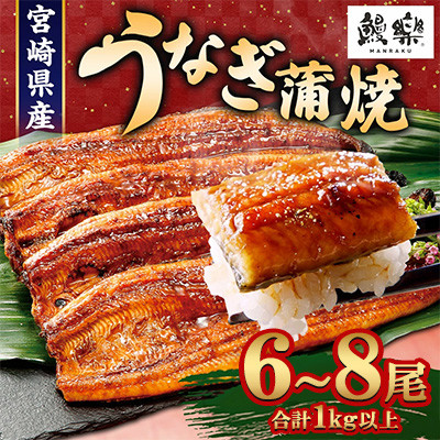 宮崎県高鍋町産うなぎ蒲焼6～8尾(計1.0kg～1.1kg)鰻楽ブランド品