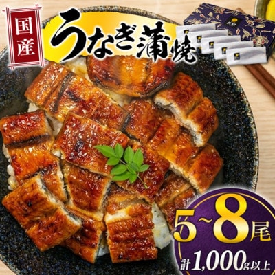 土用丑の日!国産 うなぎ(国産 鰻) 5～8尾(計1.0kg～1.1kg)(高鍋町)