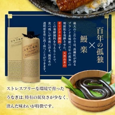土用丑の日!国産 うなぎ(国産 鰻) 5～8尾(計1.0kg～1.1kg)(高鍋町)