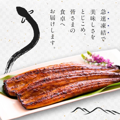 宮崎県高鍋町産うなぎ蒲焼6～8尾(計1.0kg～1.1kg)鰻楽ブランド品