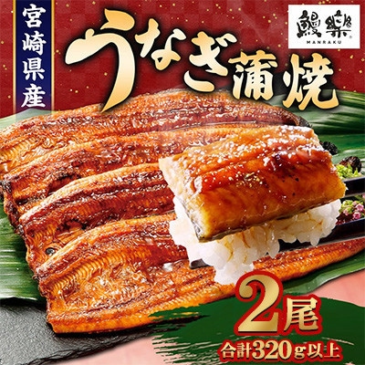 国産うなぎ(国産 鰻) 2尾 計約320g(高鍋町)