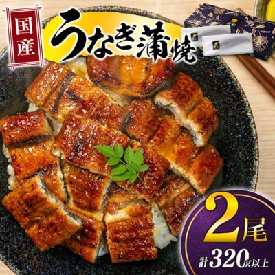 土用丑の日!国産 うなぎ(国産 鰻) 2尾 計約320g(高鍋町)
