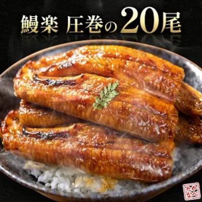国産 うなぎ 蒲焼 20尾(計約3200g)|「百年の孤独」で育てた(高鍋町)