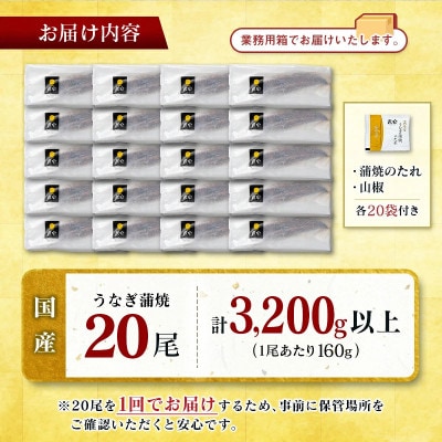 国産 うなぎ 蒲焼 20尾(計約3200g)|「百年の孤独」で育てた(高鍋町)