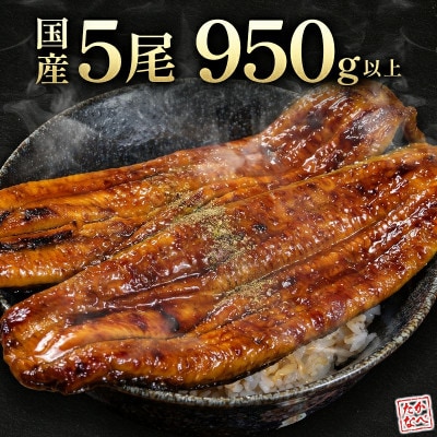 《大サイズ》国産うなぎ蒲焼5尾(計約950g)|「百年の孤独」で育て上げた(高鍋町)