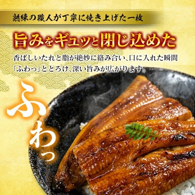 《大サイズ》国産うなぎ蒲焼5尾(計約950g)|「百年の孤独」で育て上げた(高鍋町)