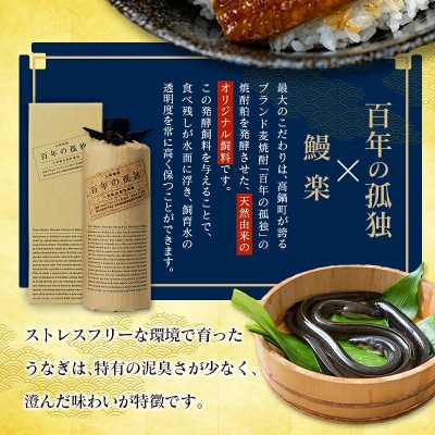 《大サイズ》国産うなぎ蒲焼5尾(計約950g)|「百年の孤独」で育て上げた(高鍋町)