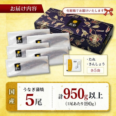 《大サイズ》国産うなぎ蒲焼5尾(計約950g)|「百年の孤独」で育て上げた(高鍋町)