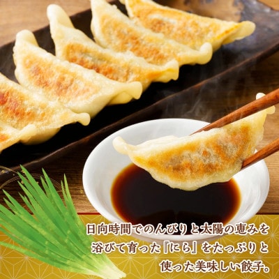 にら農家の『にらぎょうざ』30個