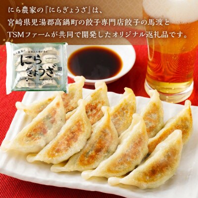 にら農家の『にらぎょうざ』30個