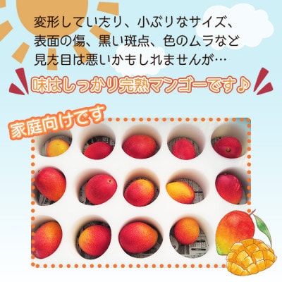 宮崎県産 完熟マンゴー 「家庭用」(約1.5kg)