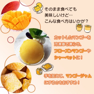 宮崎県産 完熟マンゴー 「家庭用」(約1.5kg)