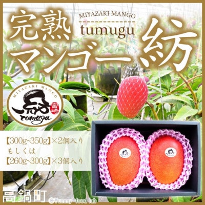 宮崎県産 完熟マンゴー「紡」(約300g～約350g 2個もしくは約260g～約300g 3個)