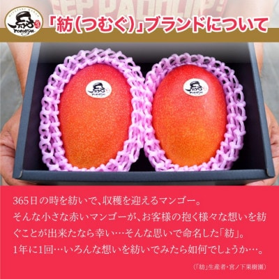 宮崎県産 完熟マンゴー「紡」(約300g～約350g 2個もしくは約260g～約300g 3個)