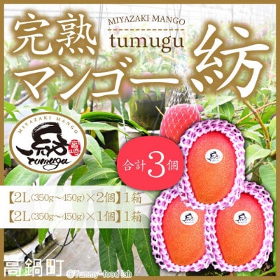 宮崎県産 完熟マンゴー「紡」(2Lサイズ×3個)